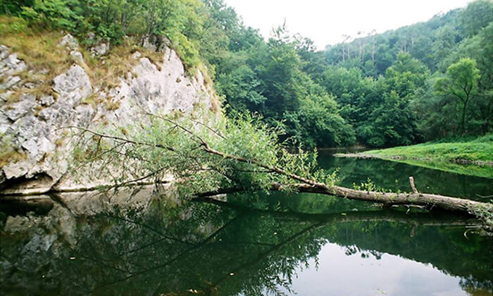 U kanjonu Đetinje (foto Zoran Domanović)