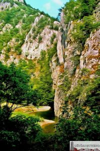 Пицин Вир, јун 2006.год.