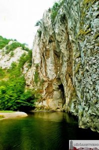 Пицин Вир, јул 2010.год.