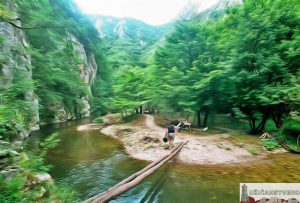 Пицин Вир, јул 2002.год.