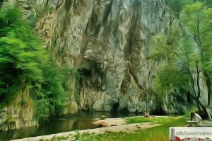 Пицин Вир, јул 2004.год.