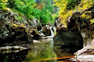 Скакавац, јун 1998.год.