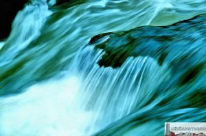 Скакавац, детаљ, 2000.год.