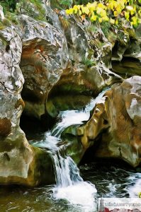 Скакавац, детаљ, август 1999.год.