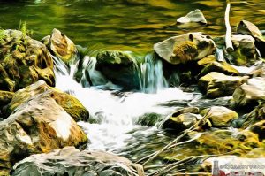 Изнад Скакавца, август 2007.год.