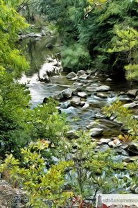 Зелени Вир, Бања, август 2001.год.