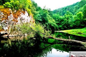 Зелени Вир, Бања, Јул 2000.год.