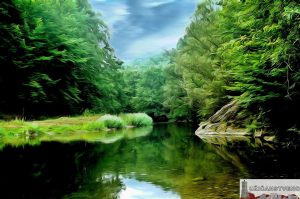 Стапари, мај 2004.год.