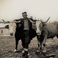 Poslednje užičke rabadžije