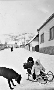 Ulica Prestolonaslednikova je svojim blagim padom bila idealna za sankanje za manju decu