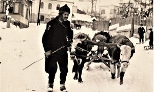 Sve na sankama, potkovanicama, bobovima šlicugama bi se sabralo u Jug Bogdanovu ulicu a odatle do sve do Kasapčića mosta...