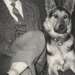 Vova Prohorov sa tada najpametnijim užičkim psom Rolfom, vučjakom učitelja Žunića