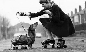 Stefani i Fric na rolšuama