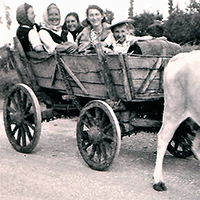 Kod babe i dede na selu