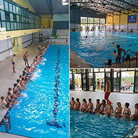 Vidre i Ajkule sa Đetinje