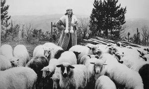 Najlepša jugoslovenka Nikica Marinović u Dobrilinoj kreaciji u Sirogojnu