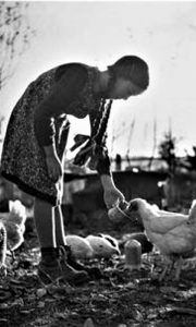 Koke Užičanke pedesetih