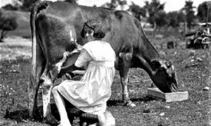 Unuka iz BG uči da muze Šaruljicu.