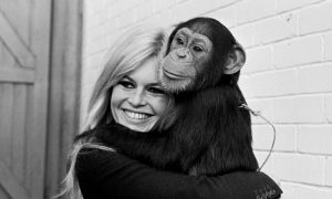 Brižit Bardo popularna BB filmska ikona šezdesetih, sedamdesetih i u T. Užicu