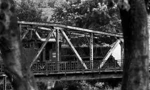 Ćirina Lokomotiva između raklji oraha