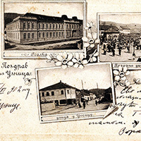 Beli narcis nekadašnji simbol starog Užica