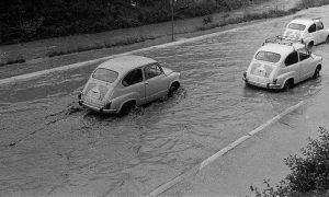 Fiće plivaju u Omladinskoj ulici