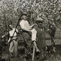 Užičanstvene voćke i voćnjaci