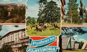 Pozdrav sa Zlatibora 1977.