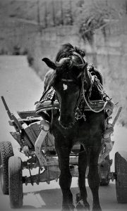 Poslednja gumeraba snimljena na užičkoj ulici