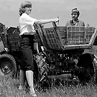 Seoska kola i gumerabe na ulicama Užica