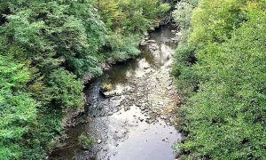 . Deo kanjona Đetinje