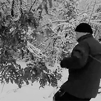 Badnji dan, sećanje starog Užičanina Marka Markovića